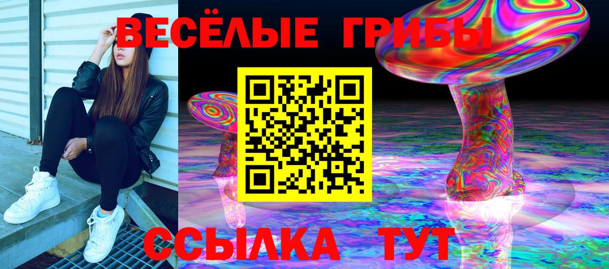 Галлюциногенные грибы MAGIC MUSHROOMS  Галлюциногенные грибы прущие грибы  Вход с VPN  Зима 