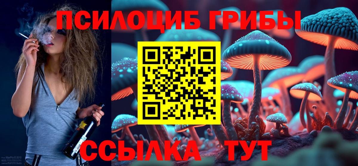 Псилоцибиновые грибы мицелий Зима